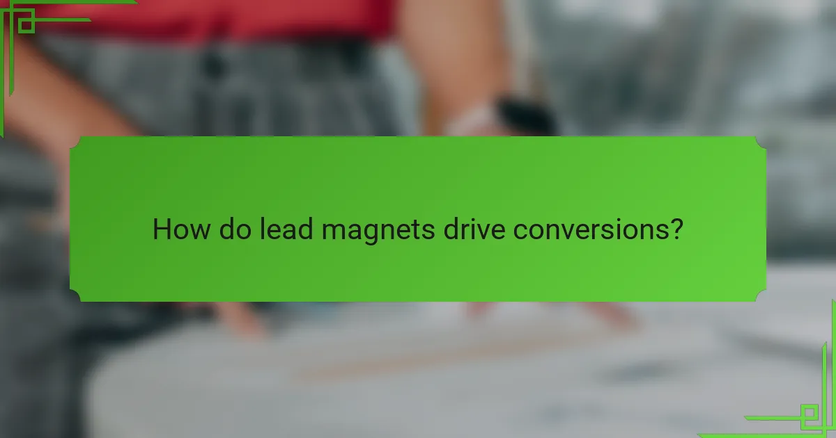 How do lead magnets drive conversions?