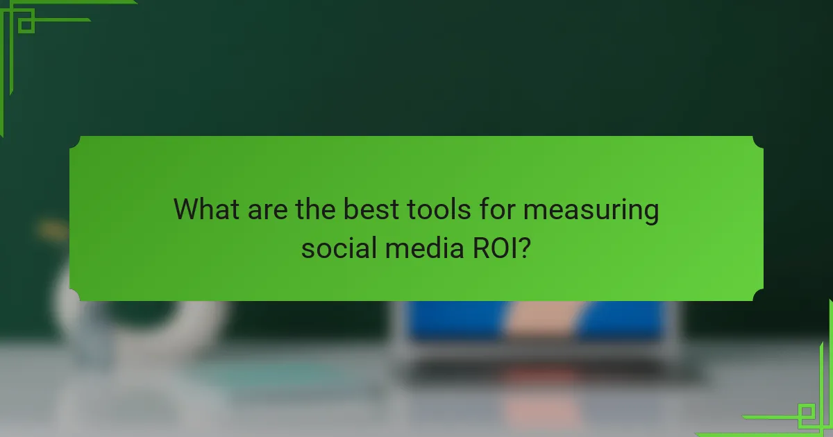What are the best tools for measuring social media ROI?