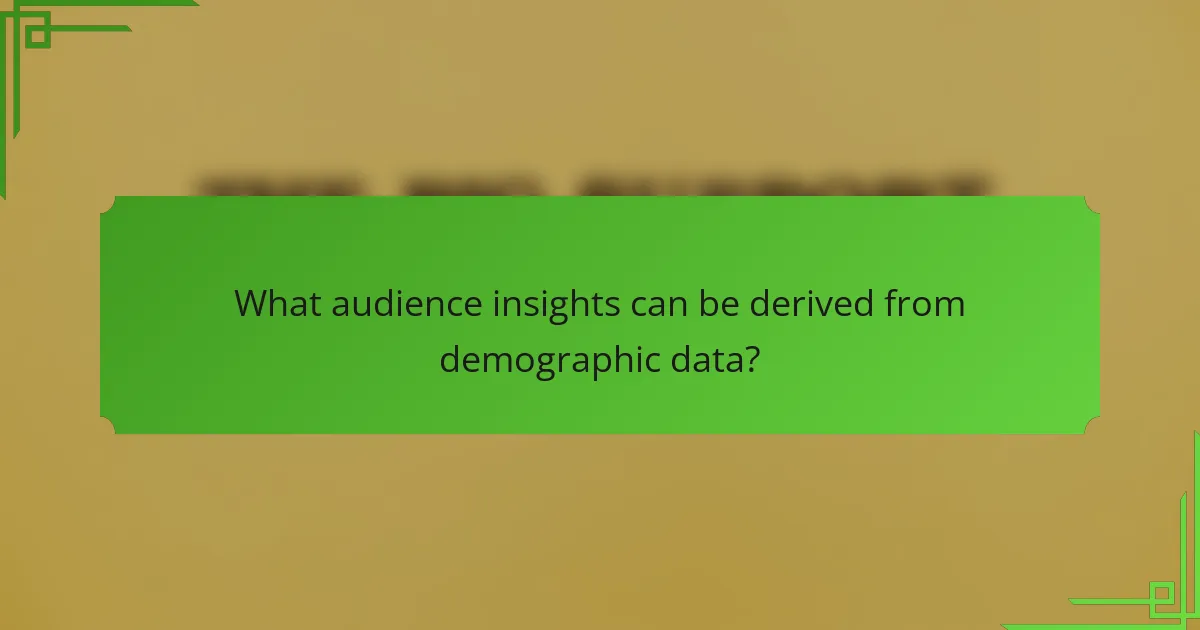 What audience insights can be derived from demographic data?