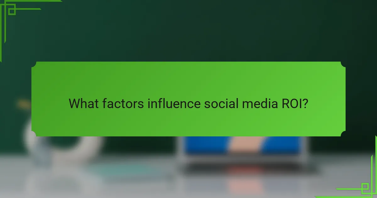 What factors influence social media ROI?